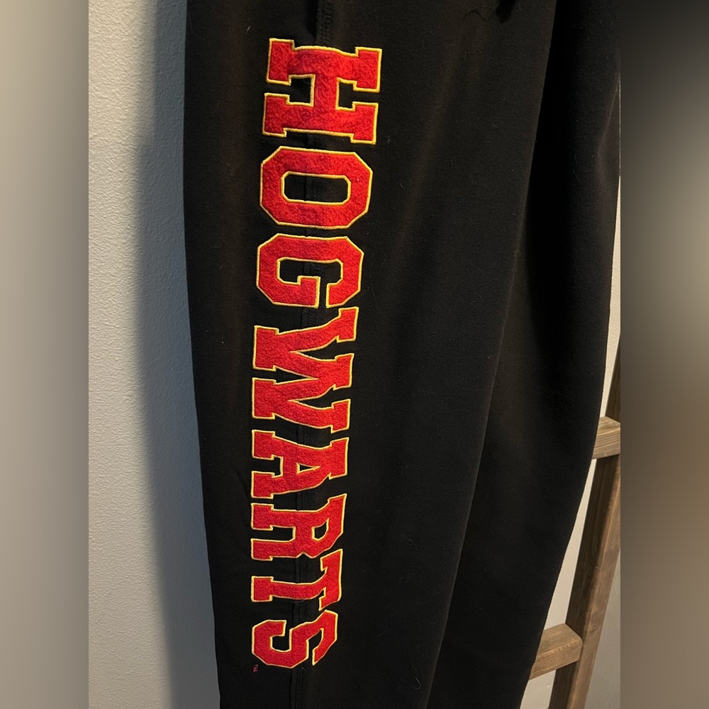 Universal Studios Hogwarts sweat pants.